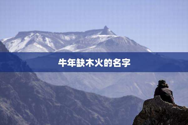 牛年缺木火的名字