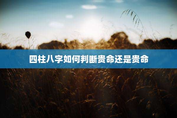 四柱八字如何判断贵命还是贵命