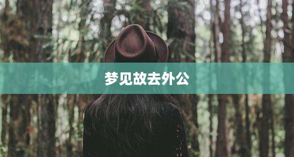梦见故去外公