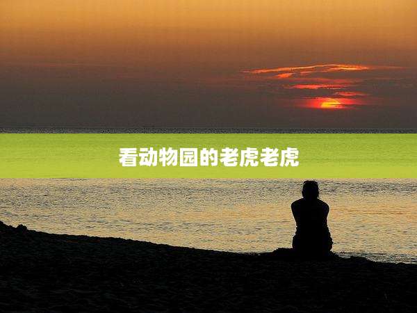 看动物园的老虎老虎