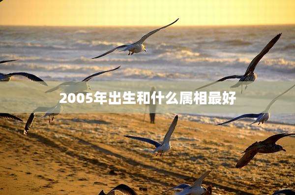 2005年出生和什么属相最好