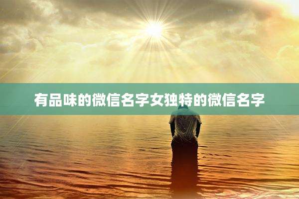有品味的微信名字女独特的微信名字