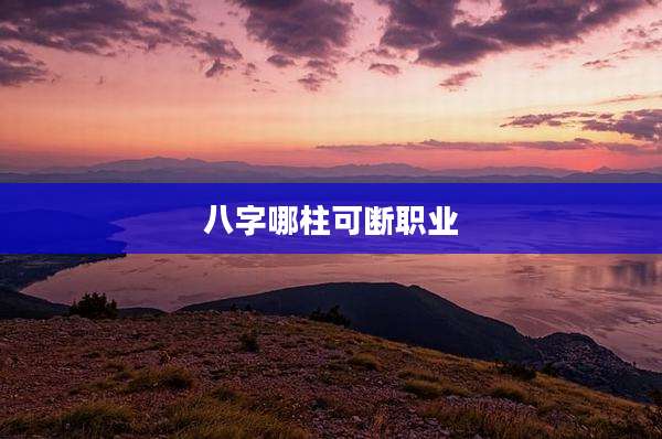 八字哪柱可断职业