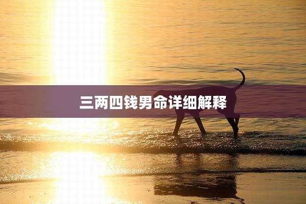三两四钱男命详细解释