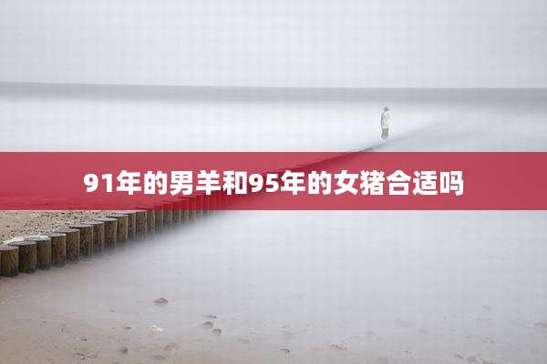 91年的男羊和95年的女猪合适吗