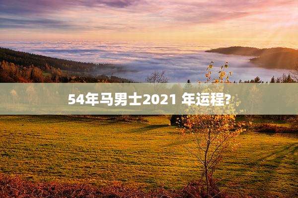 54年马男士2021 年运程?