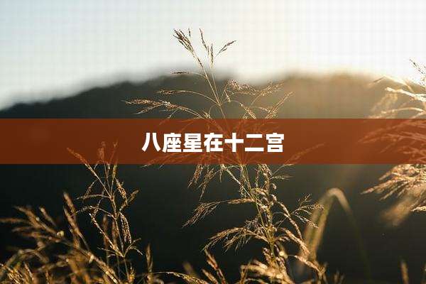 八座星在十二宫