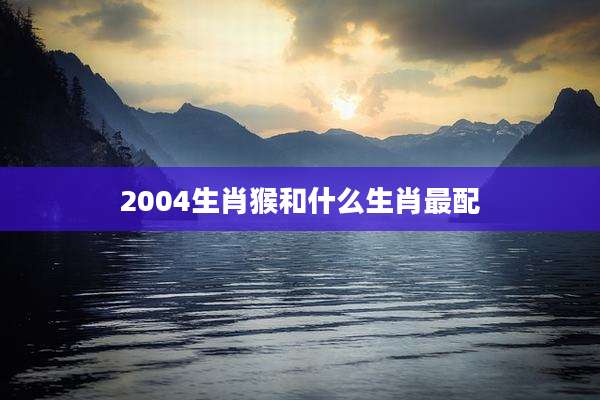 2004生肖猴和什么生肖最配