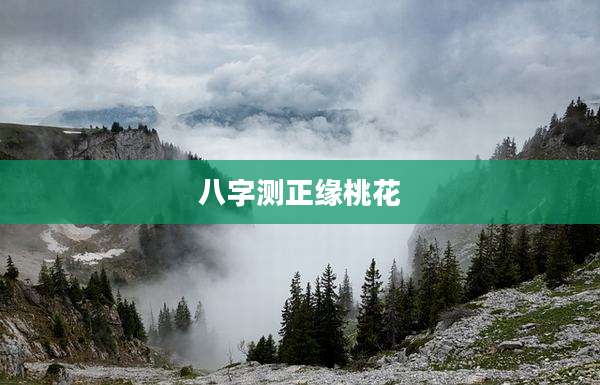 八字测正缘桃花
