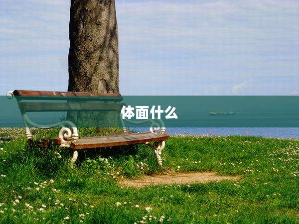 体面什么