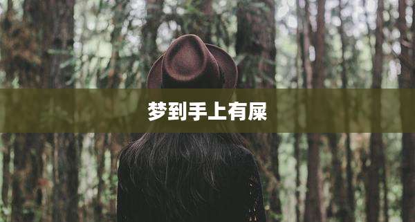 梦到手上有屎