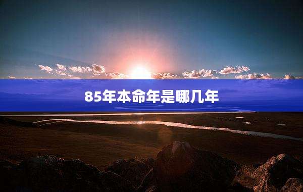 85年本命年是哪几年