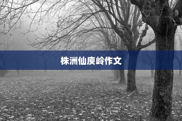 株洲仙庾岭作文