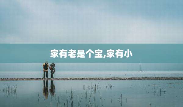 家有老是个宝,家有小