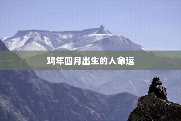 鸡年四月出生的人命运