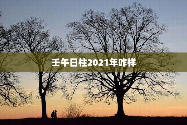 壬午日柱2021年咋样