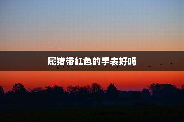 属猪带红色的手表好吗