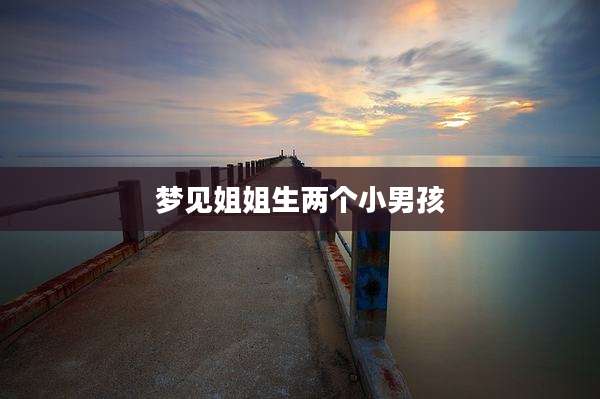 梦见姐姐生两个小男孩