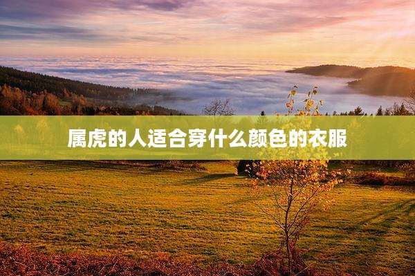 属虎的人适合穿什么颜色的衣服