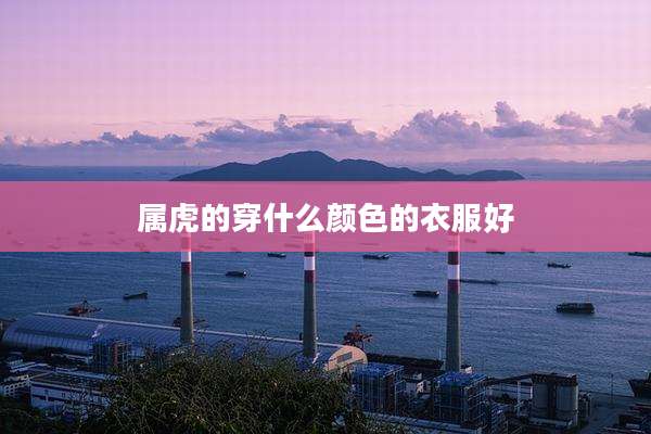 属虎的穿什么颜色的衣服好