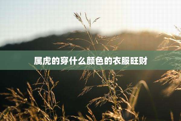属虎的穿什么颜色的衣服旺财