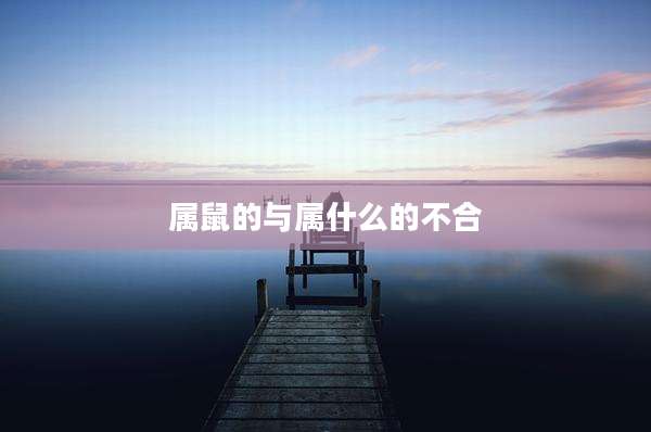属鼠的与属什么的不合