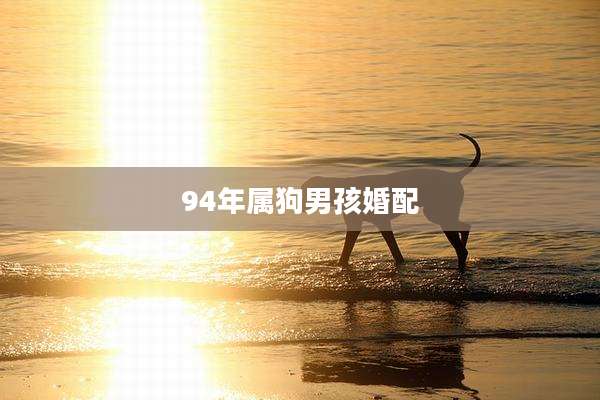 94年属狗男孩婚配
