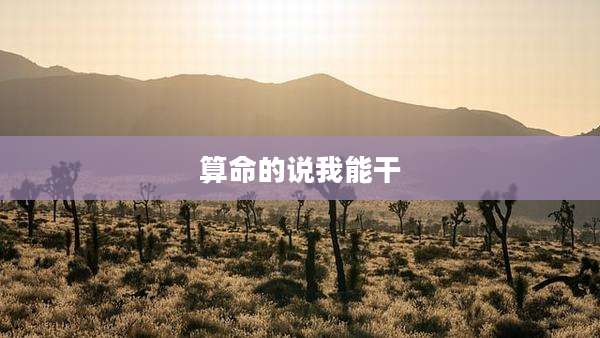 算命的说我能干