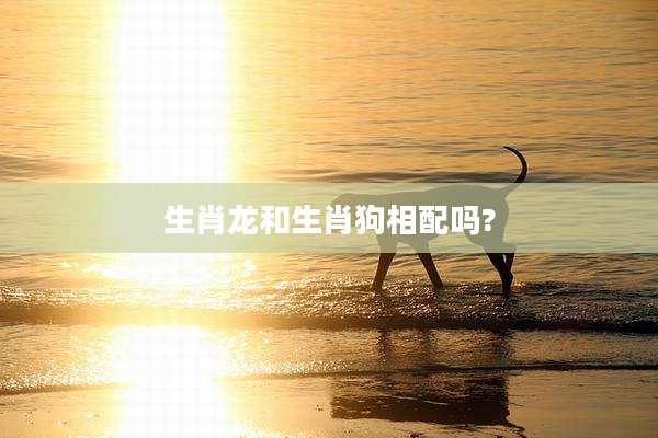 生肖龙和生肖狗相配吗?