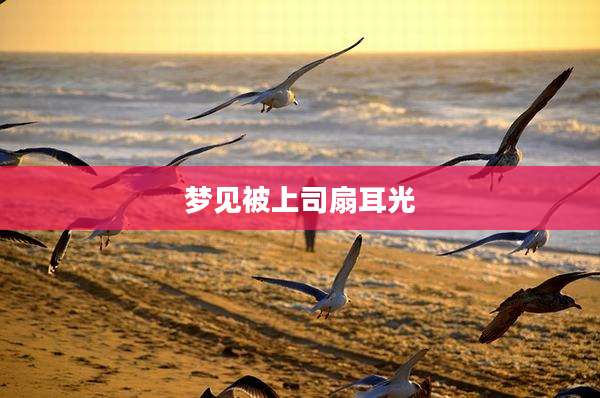 梦见被上司扇耳光