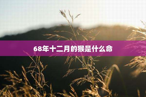 68年十二月的猴是什么命