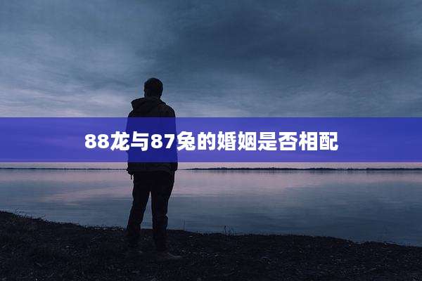 88龙与87兔的婚姻是否相配