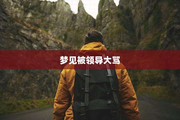梦见被领导大骂