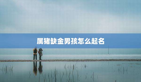 属猪缺金男孩怎么起名