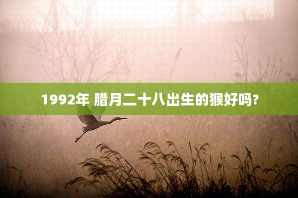 1992年 腊月二十八出生的猴好吗?