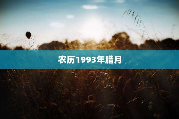 农历1993年腊月