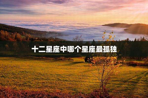 十二星座中哪个星座最孤独