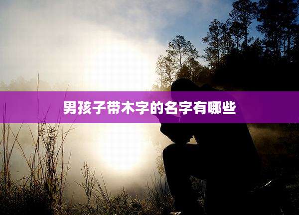 男孩子带木字的名字有哪些