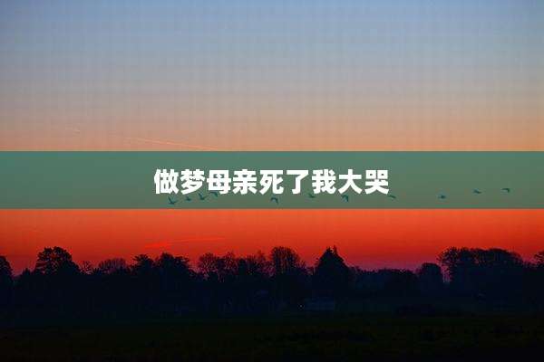 做梦母亲死了我大哭