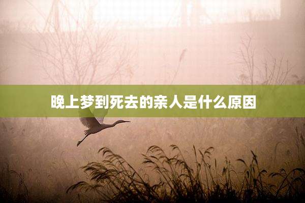 晚上梦到死去的亲人是什么原因