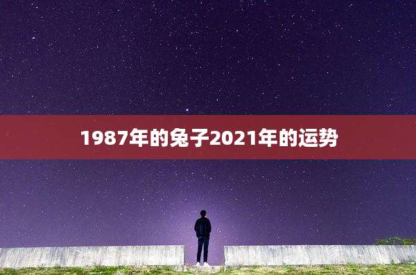 1987年的兔子2021年的运势