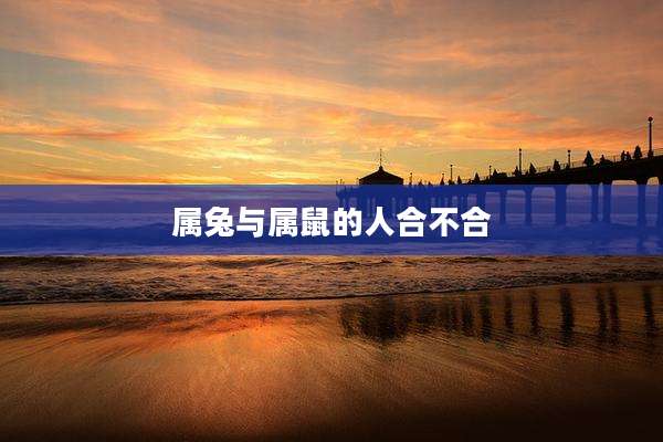 属兔与属鼠的人合不合