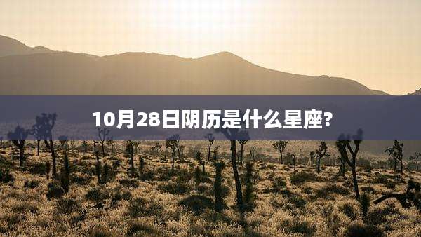 10月28日阴历是什么星座?