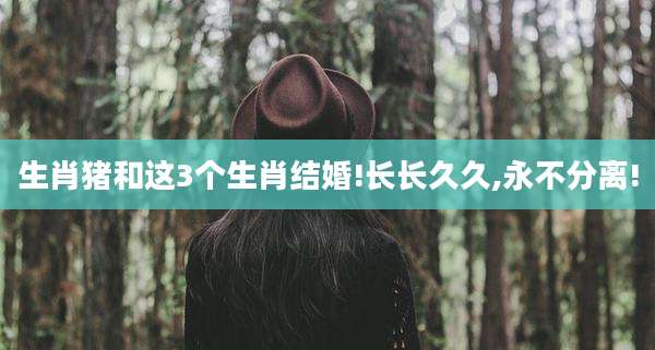 生肖猪和这3个生肖结婚!长长久久,永不分离!