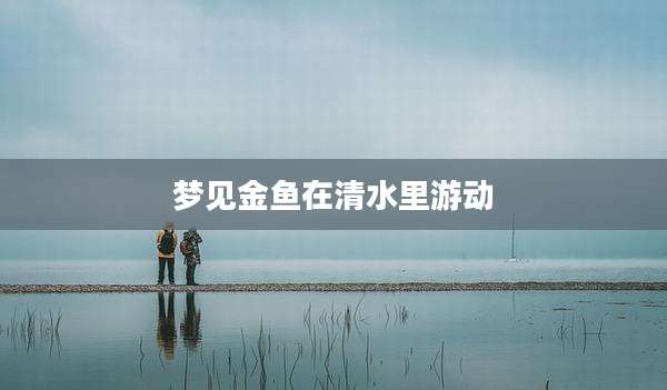 梦见金鱼在清水里游动