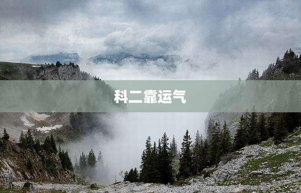 科二靠运气