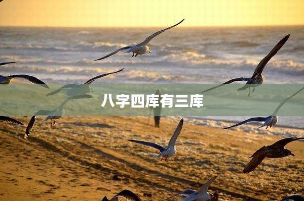 八字四库有三库