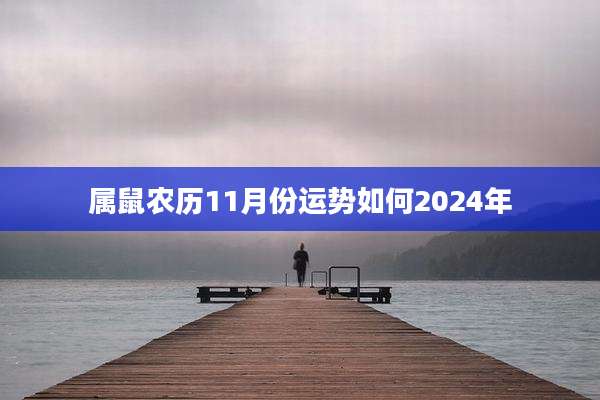 属鼠农历11月份运势如何2024年
