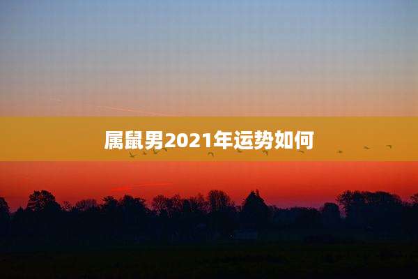 属鼠男2021年运势如何