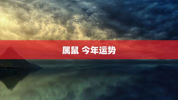 属鼠 今年运势